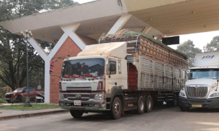 Tạm dừng áp dụng Nghị định số 46 về an toàn thực phẩm đến hết ngày 15/4